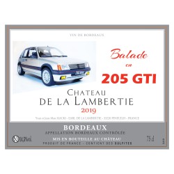 BDX rouge 2020 205 GTI